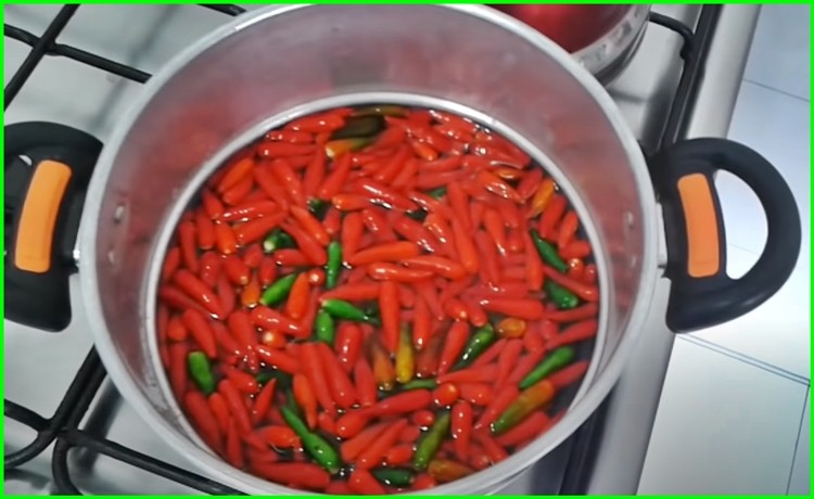 pimenta malagueta