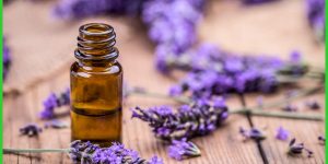 beneficios do oleo essencial de lavanda