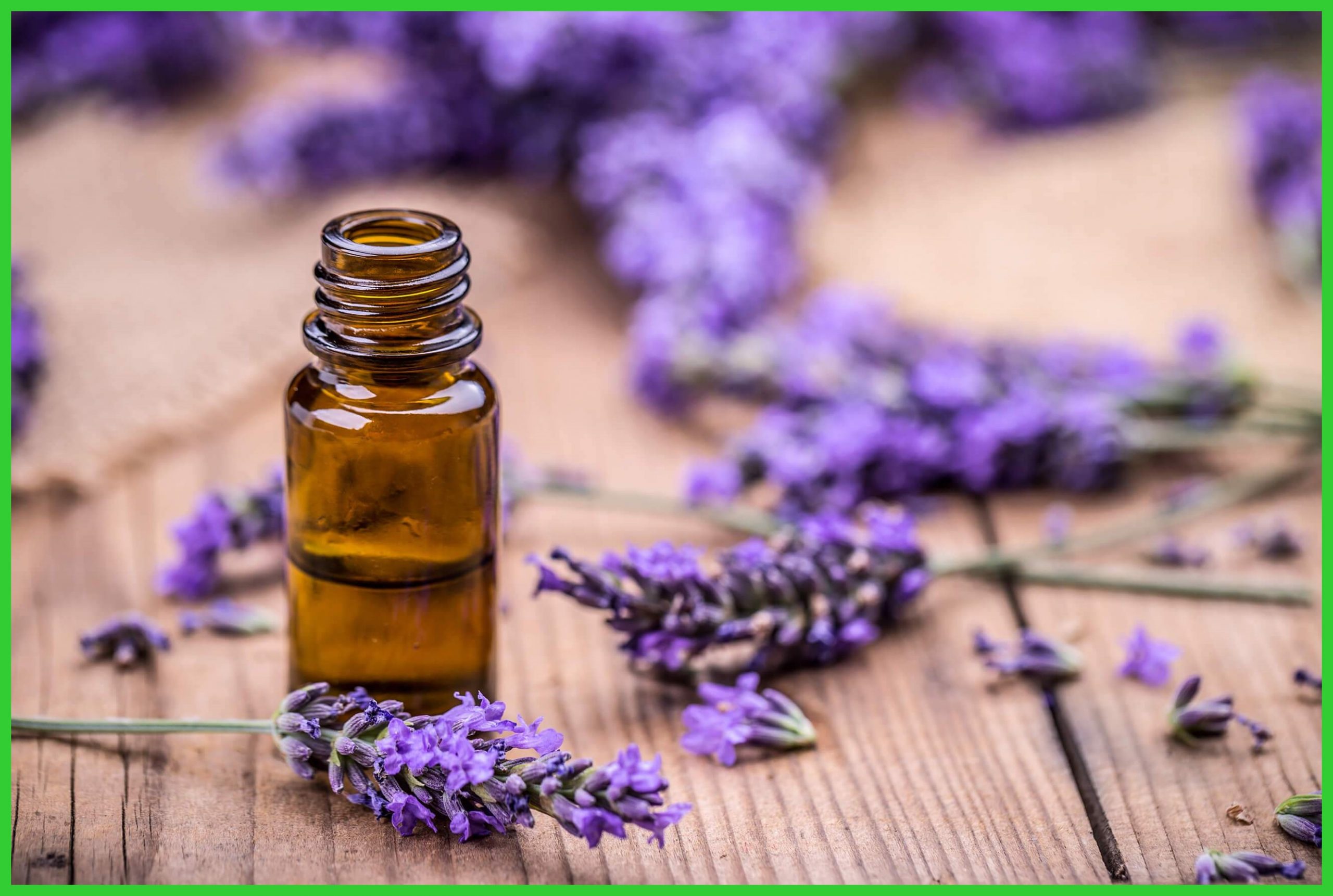 beneficios do oleo essencial de lavanda