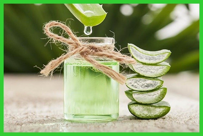 beneficios da receita de aloe vera