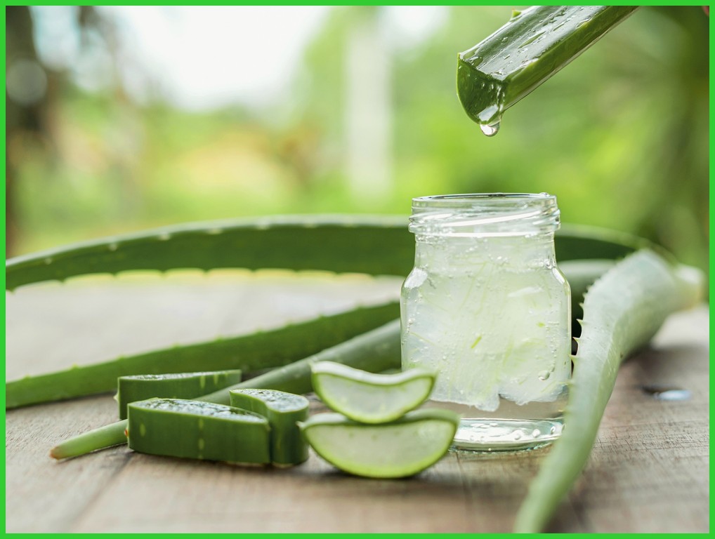 receita de aloe vera para acabar com as caspas