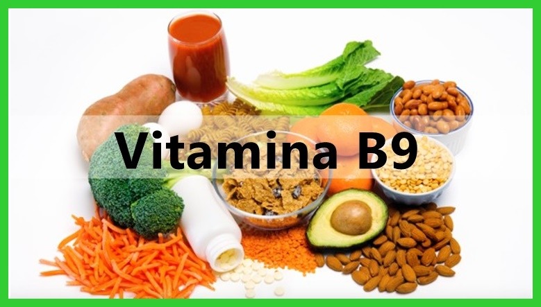 para que serve vitamina b9