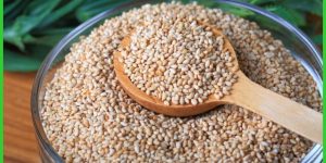 valor nutricional da semente de gergelim