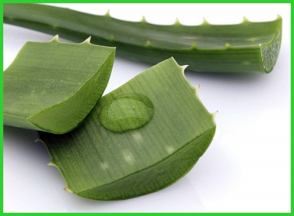 aloe vera para tirar espinhas do rosto