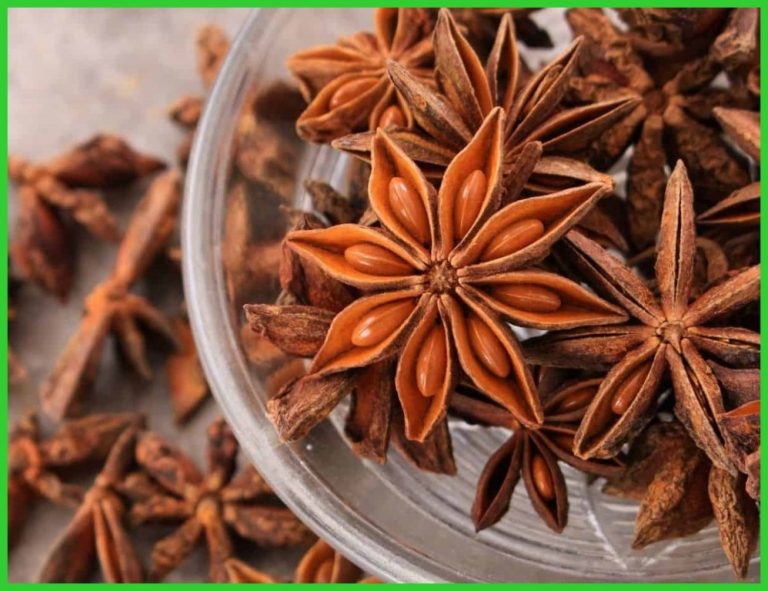 11 Benefícios do anis estrelado: usos, receita e efeitos colaterais ...