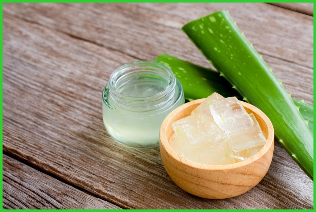 beneficios da aloe vera para eliminar rugas