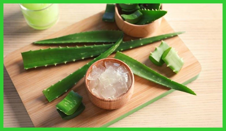 maneiras de usar aloe vera para eliminar rugas