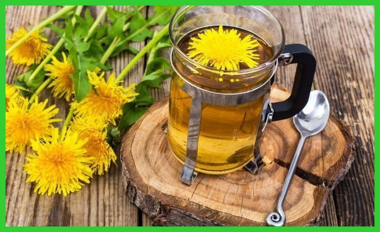 Chá de dente-de-leão: para que serve, benefícios, receita e efeitos ...